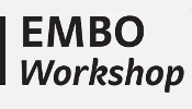 embo2026